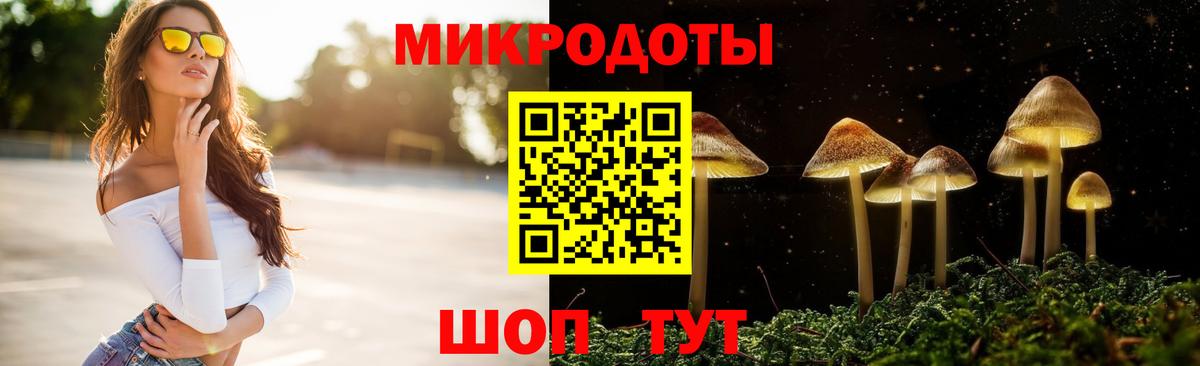 Псилоцибиновые грибы GOLDEN TEACHER Янаул